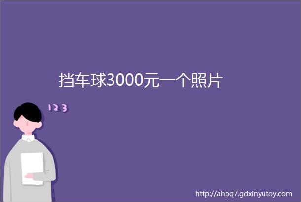 挡车球3000元一个照片